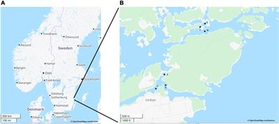Baltic Sea coastal sediment-bound eukaryotes have increased year-round activities under predicted climate change related warming